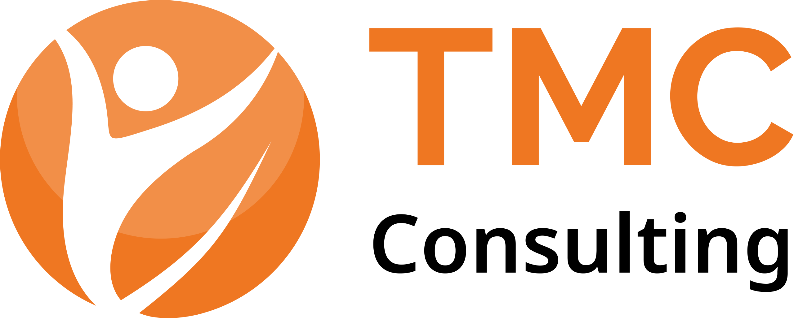 TMC-consulting